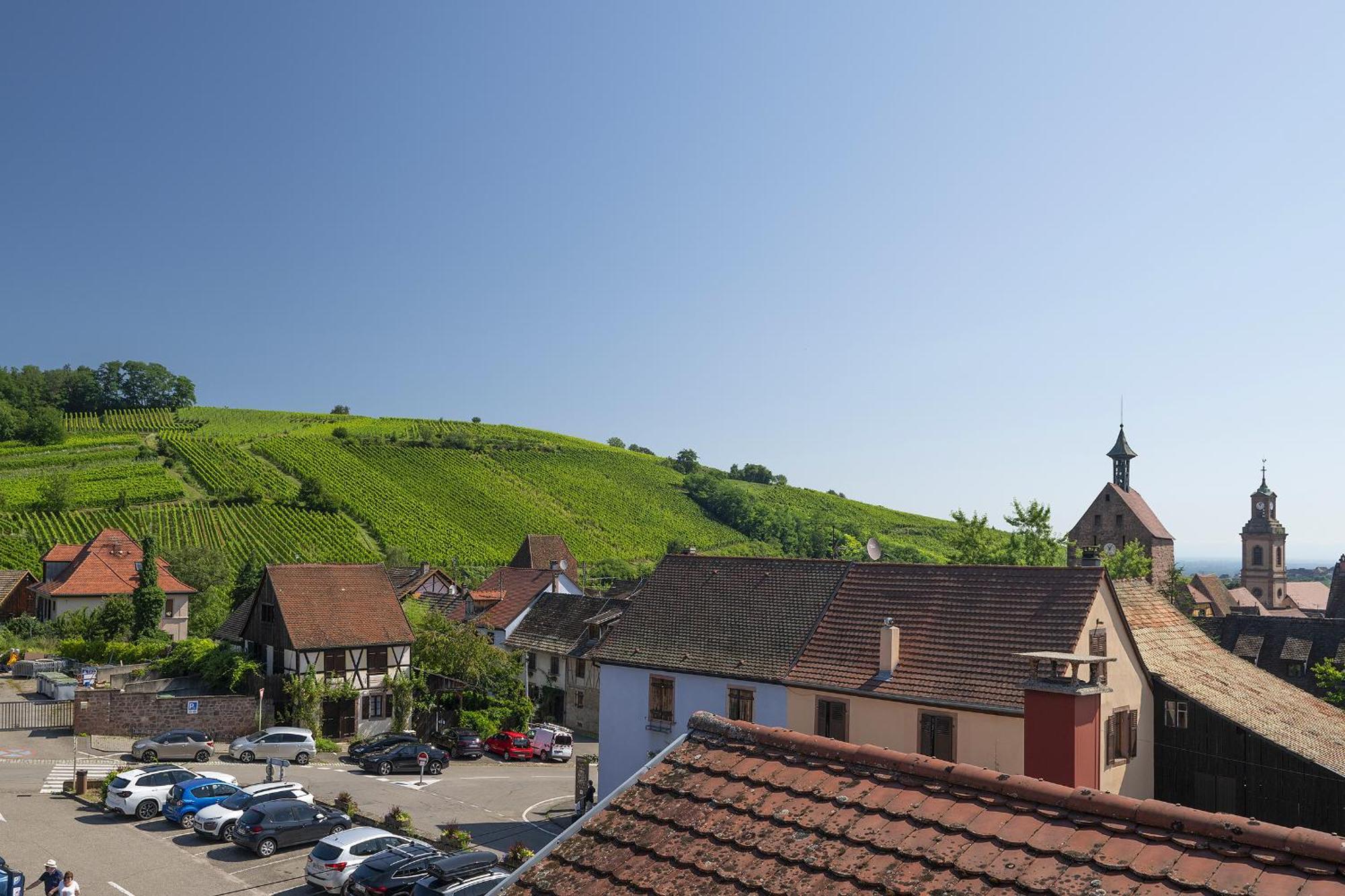 Riesling - Vue Imprenable Sur Le Vignoble - Renove Recemment - Parking Gratuit Apartment Риквир Екстериор снимка